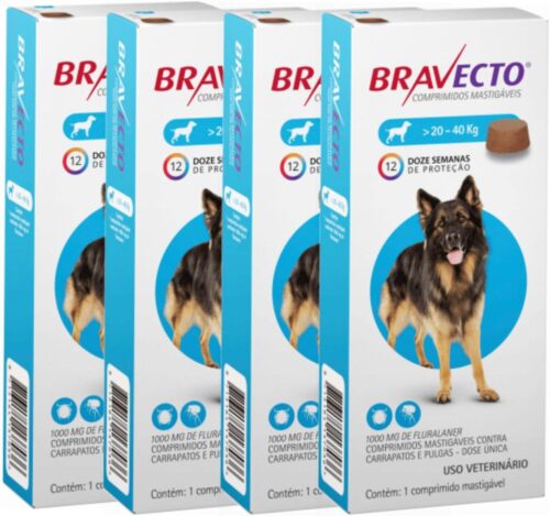 Antipulgas E Carrapatos Bravecto MSD 1000mg Para Cães De 20 A 40kg - Combo Com 04 Unidades