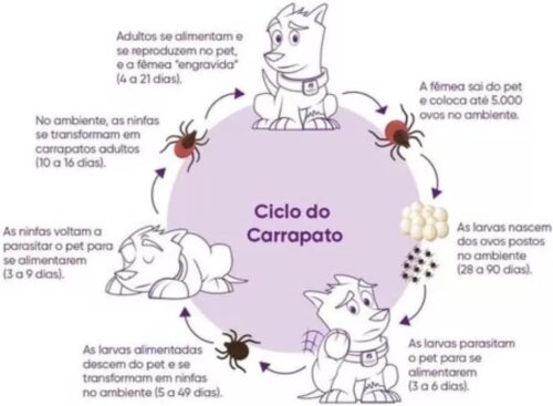 DogMax Plus - Ação 4 em 1 - Remédio para pulgas, carrapatos, vermes e sarna 48 Comprimidos 30kg