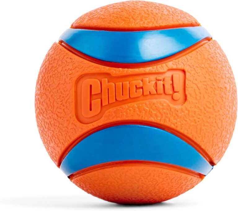 Bola-Chuckit-Ultra-Ball-para-Caes-Grande-Laranja-e-Azul