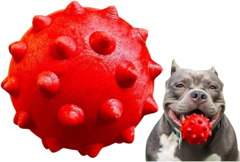 Brinquedo-Para-Caes-Bola-Grande-Macica-Extra-Forte-95mm-Cachorro