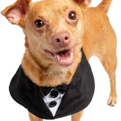 Conjunto de terno de smoking para cães e gravata borboleta da Pet Krewe, elegante roupa de festa de smoking de casamento para cães pequenos e grandes