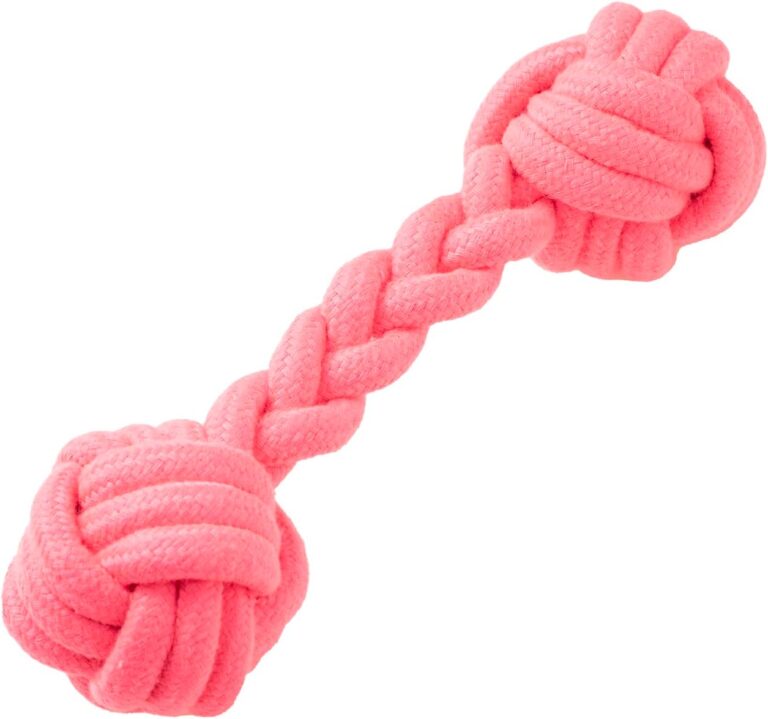 JAMBO-PET-Mord-Corda-Osso-Rosa-Kelev-Jambo-Para-Caes