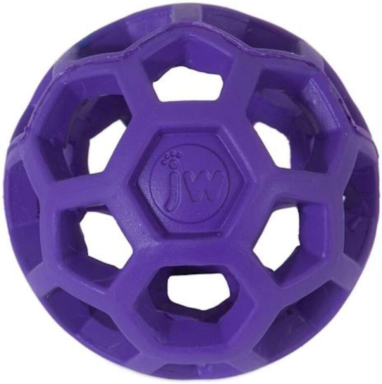 JW-Bola-Holee-Roller-Jumbo-Roxo-Para-Caes-Para-Caes