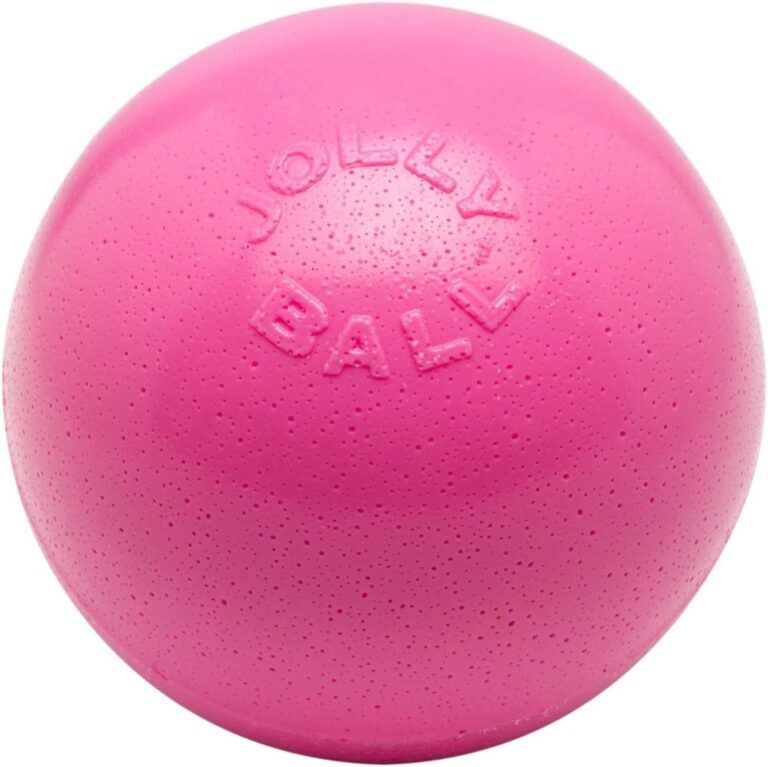 Jolly-Pets-Bola-de-brinquedo-para-caes-Bounce-n-Play-20-cm