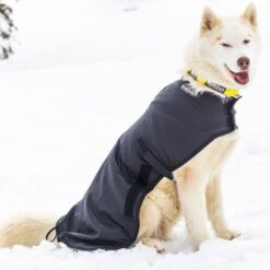 Neewa Casaco de cachorro resistente ao clima: Jaqueta de cachorro definitiva para inverno e chuva, suéter aconchegante para cães pequenos a grandes, roupas modernas para cães para todas as estações