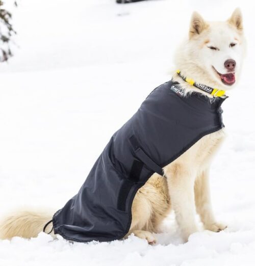 Neewa Casaco de cachorro resistente ao clima: Jaqueta de cachorro definitiva para inverno e chuva, suéter aconchegante para cães pequenos a grandes, roupas modernas para cães para todas as estações