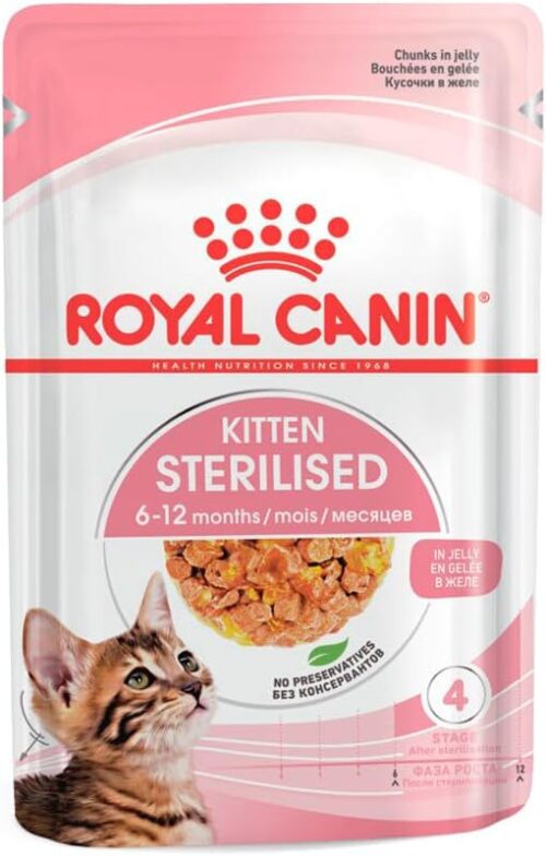 Ração Úmida Kitten Geleia Esterilizada Para Gatos de 6 a 12 Meses 85 g Royal Canin